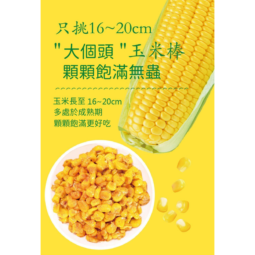 現貨 十品佳烤玉米粒 21g/包 奶香味 燒烤味