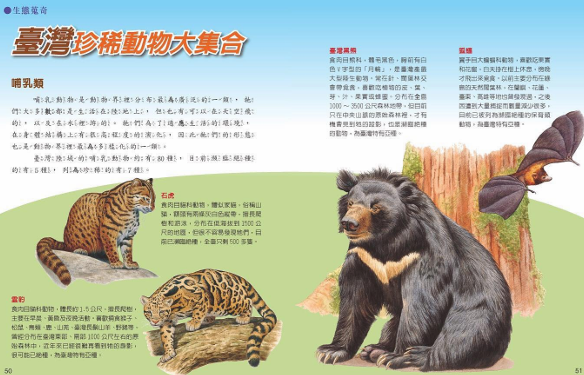 ⼩⽜頓⾃然科學百科 36本/套