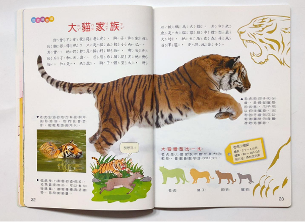 新⼩⼩⽜頓⾼幼點讀版 36本主題⽉刊+36本遊戲簿