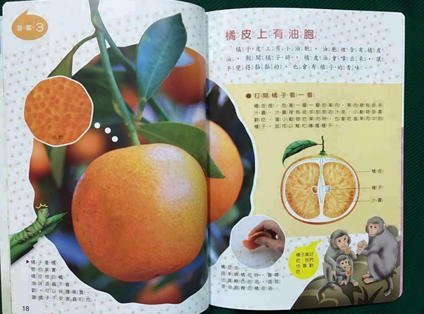 新⼩⼩⽜頓 (低幼版) 全部36本主⽉刊+36本智慧遊戲簿 