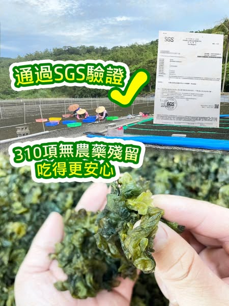 台灣滿州鄉特產 乾燥雨來菇~~情人的眼淚30g  