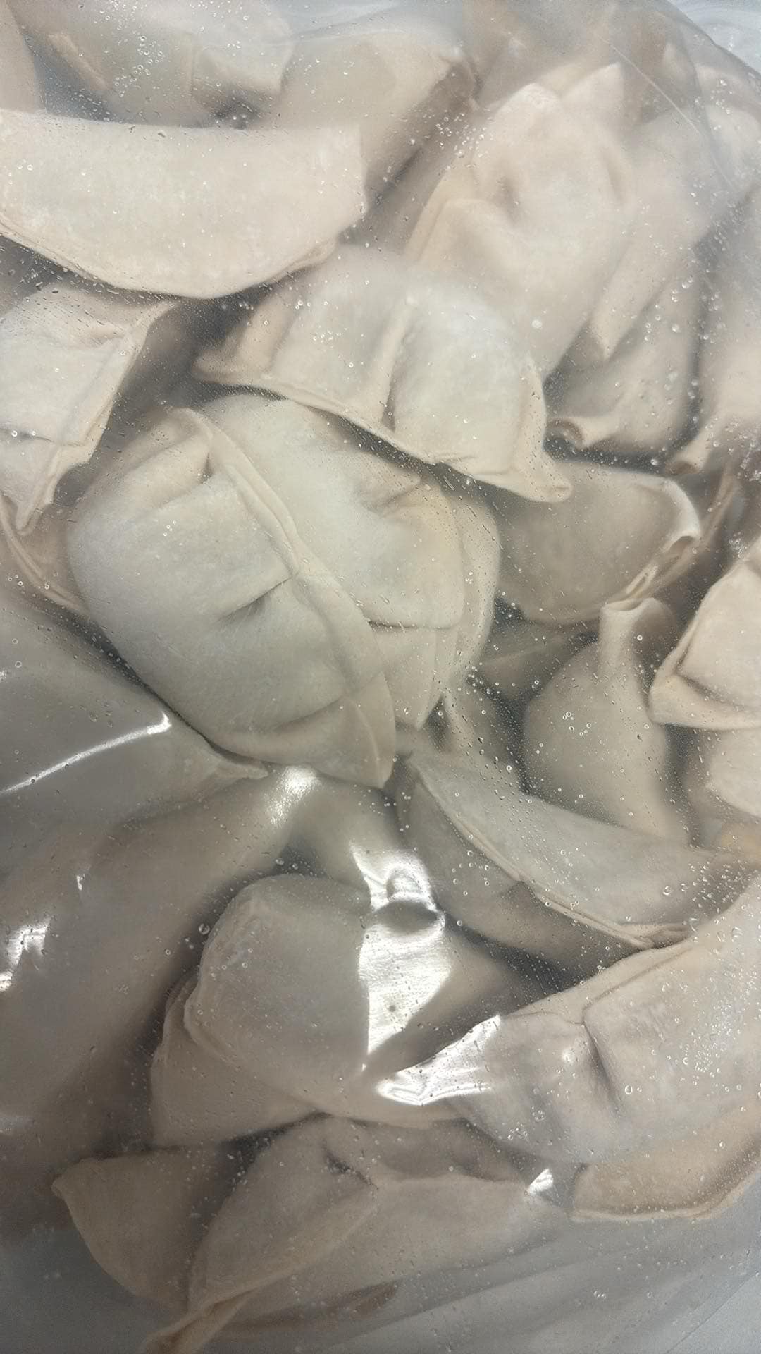 東京-日式煎餃 1kg (40pcs)