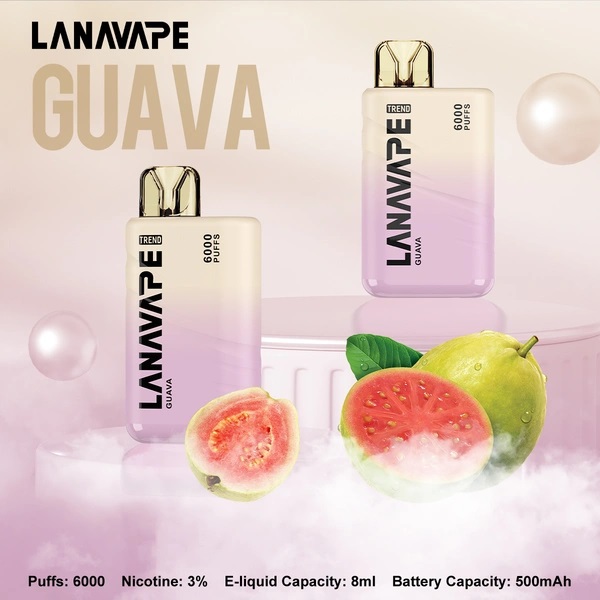 LANA6000口 | 抛棄式電子煙/可充電 | 台灣現貨