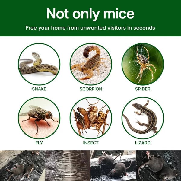 Large Sticky Rat Trap