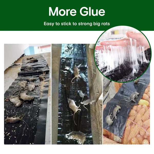 Large Sticky Rat Trap