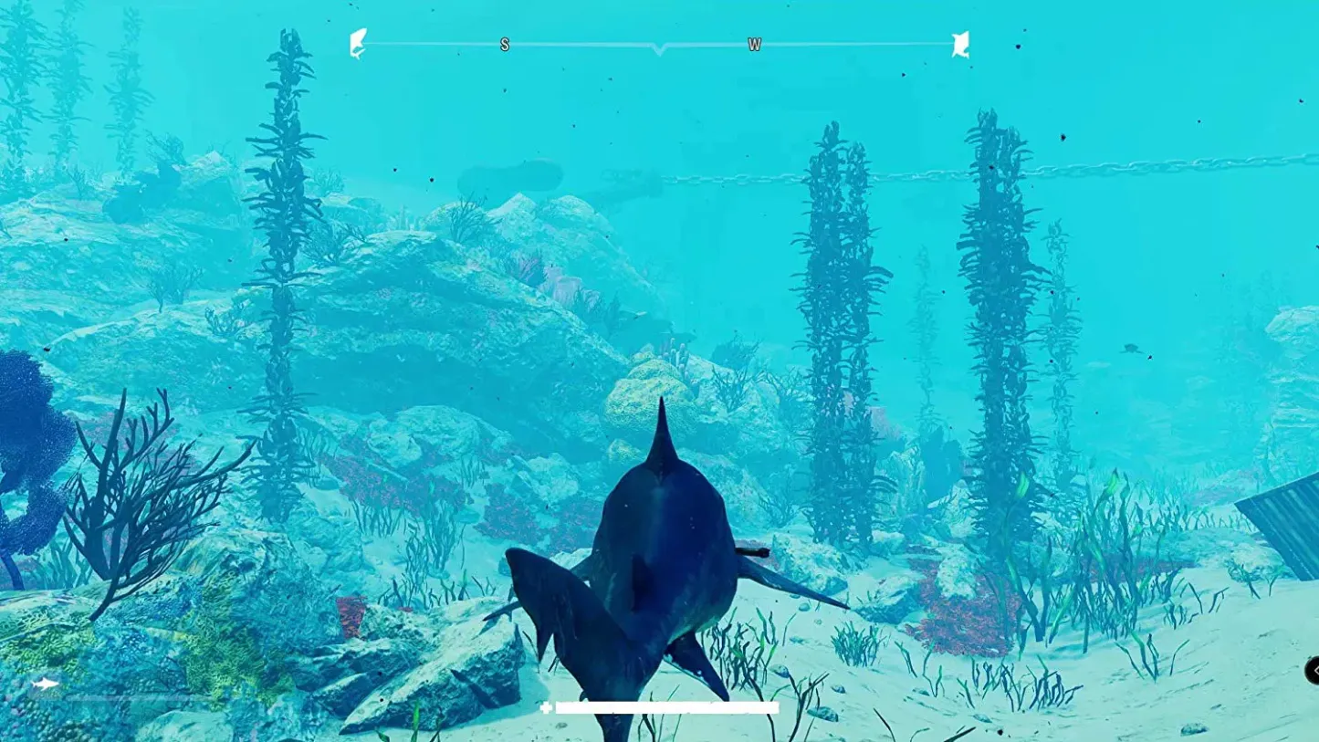 Maneater - Nintendo Switch