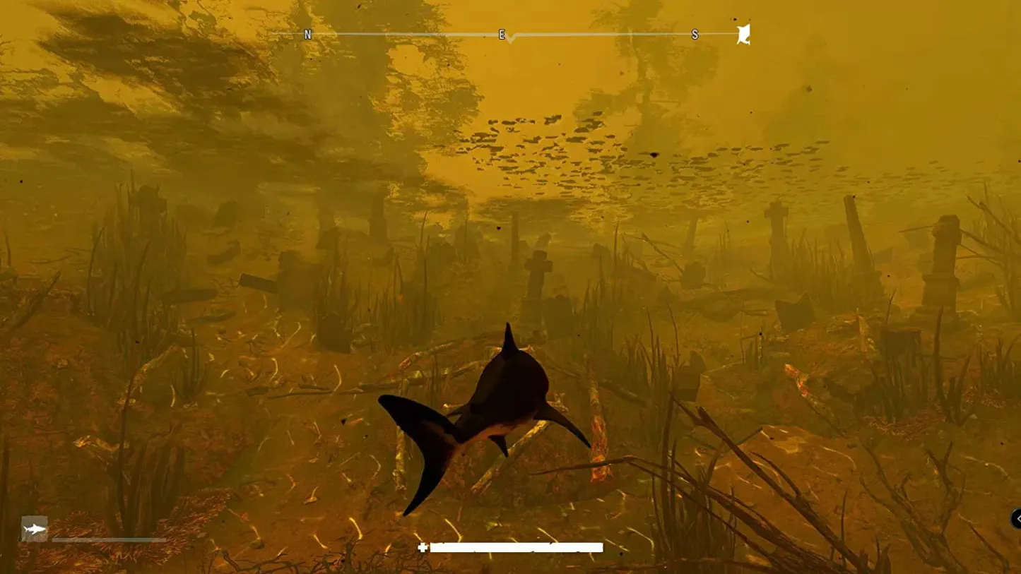 Maneater - Nintendo Switch