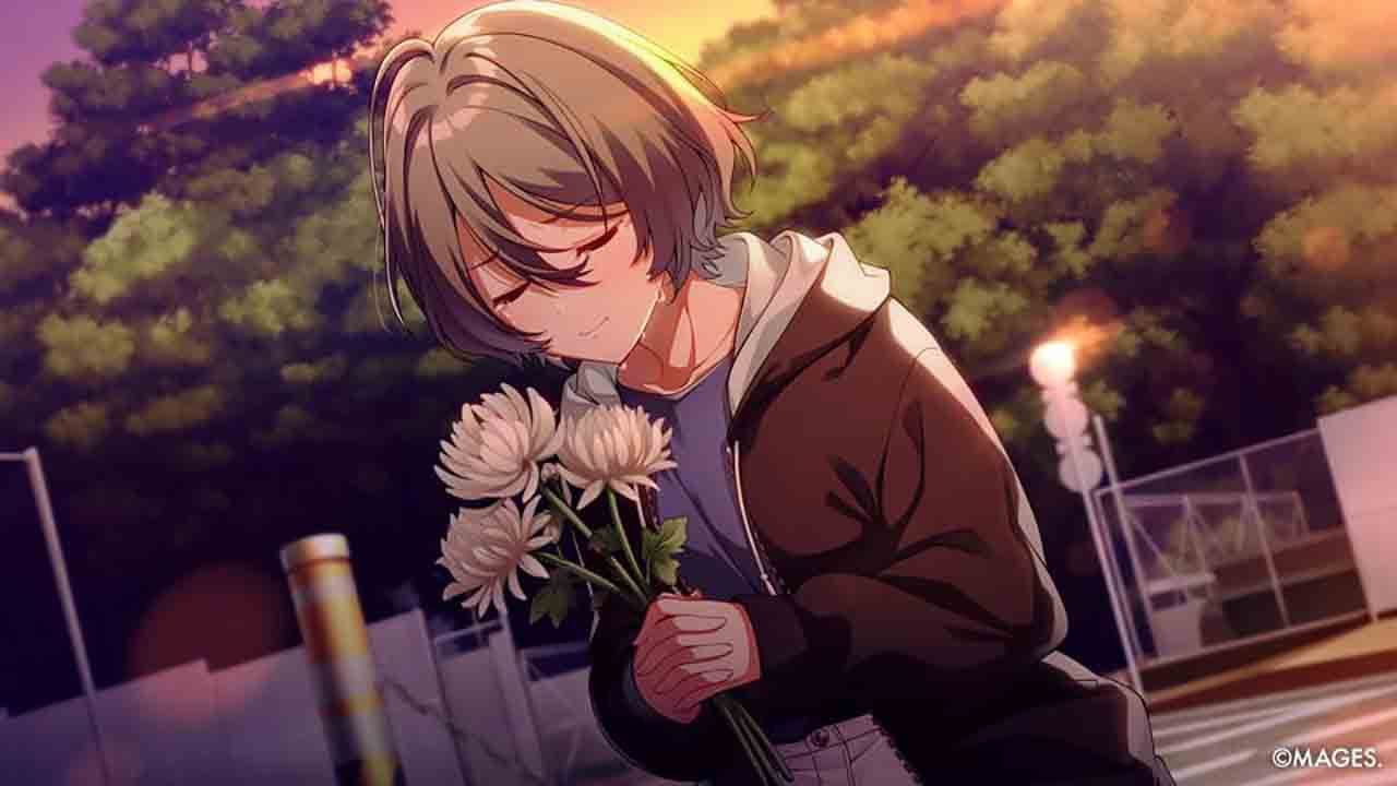 Since Memories: Off The Starry Sky - Nintendo Switch