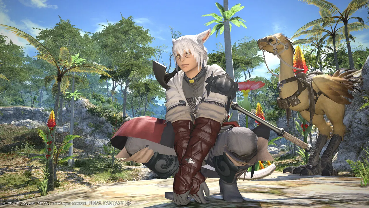 Final Fantasy XIV: A Realm Reborn - Playstation 4