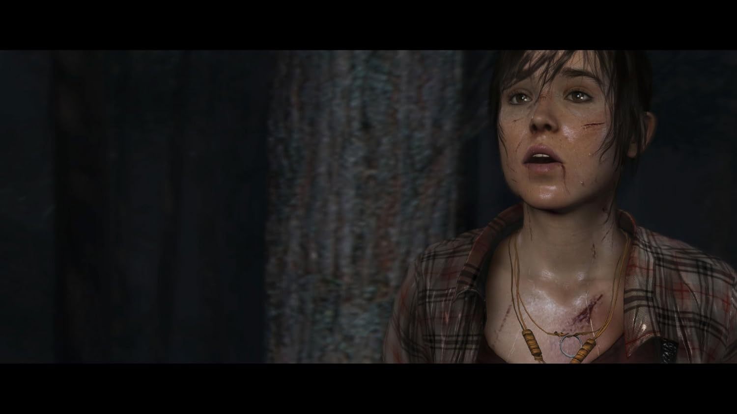 The Heavy Rain & Beyond : Two Souls Collection - Playstation 4