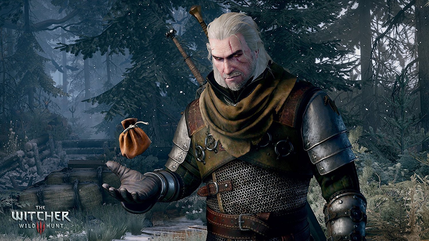 ps4 WITCHER3 WILD HUNT GAME OF THE YEAR EDITION ウィッチャー3