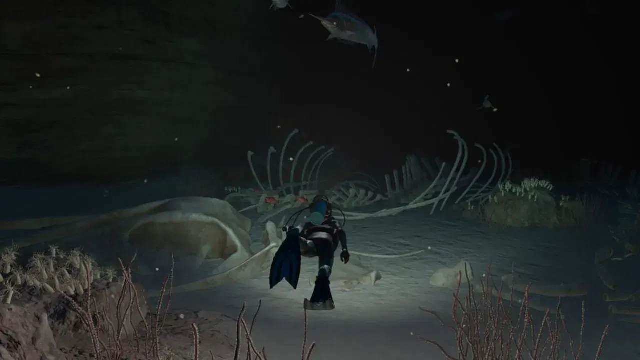 Endless Ocean Luminous - Nintendo Switch