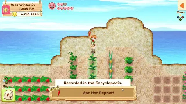Harvest Moon: Light Of Hope Special Edition - Nintendo Switch