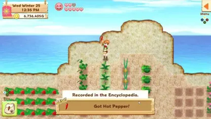 Harvest Moon: Light Of Hope Special Edition - Nintendo Switch