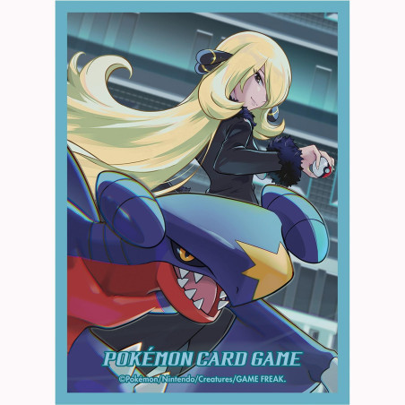 Pokemon Trading Card Game:  Official Deck Shield