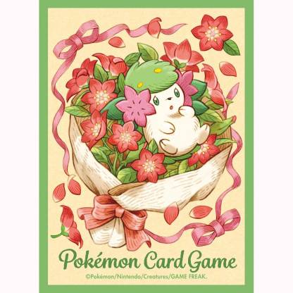 Pokemon Trading Card Game:  Official Deck Shield