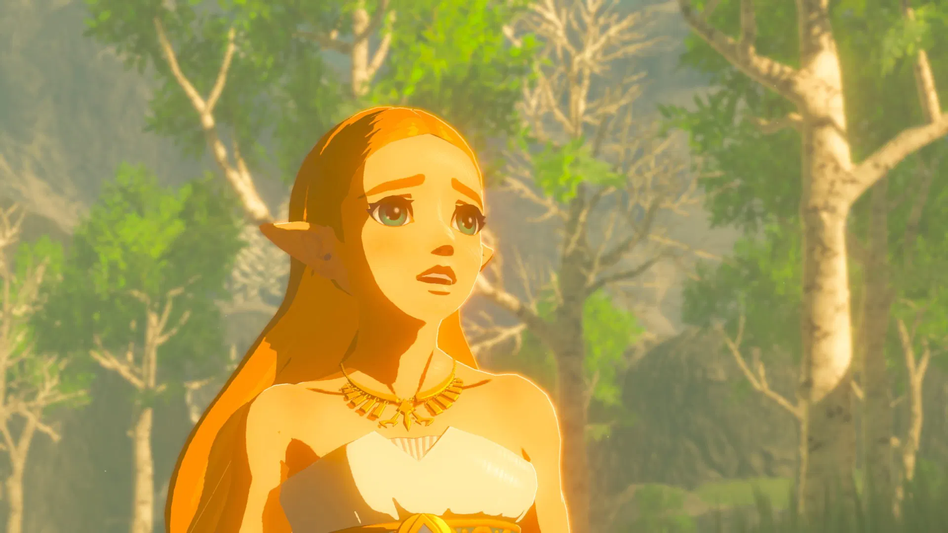 The Legend of Zelda : Breath of the Wild - Nintendo Switch