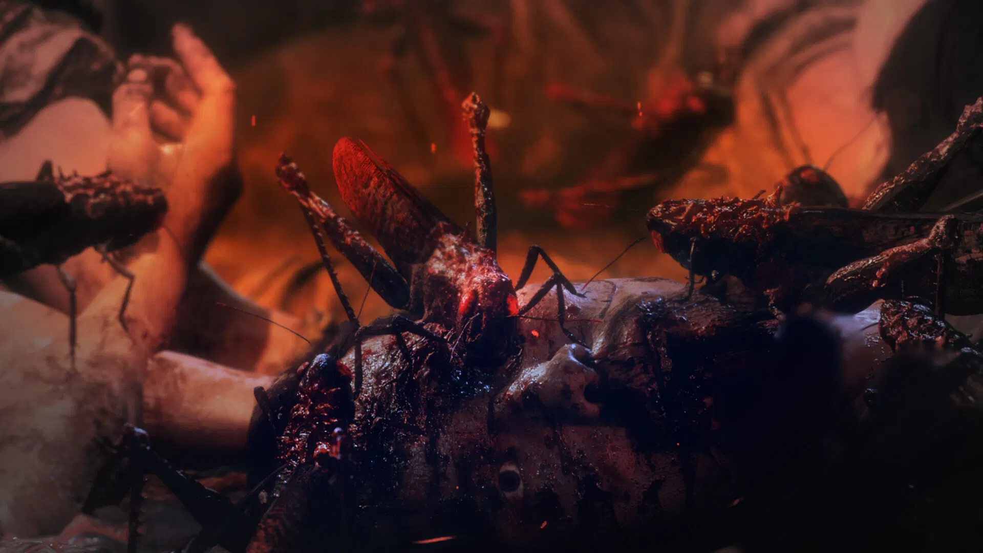 Wo Long: Fallen Dynasty - Playstation 4