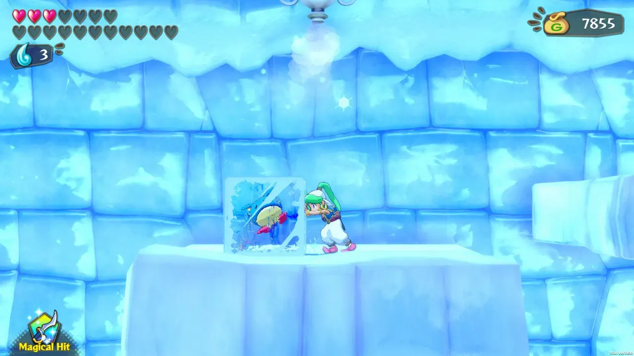 Wonder Boy : Asha in Monster World - Nintendo Switch
