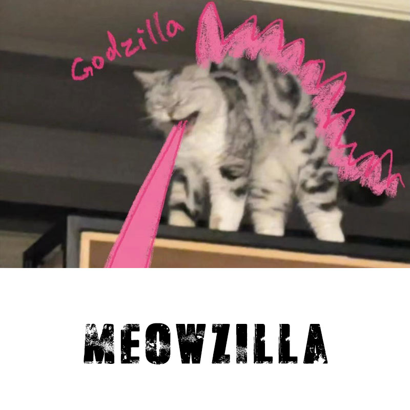 貓咪Godzilla水洗做舊  印花水洗短袖