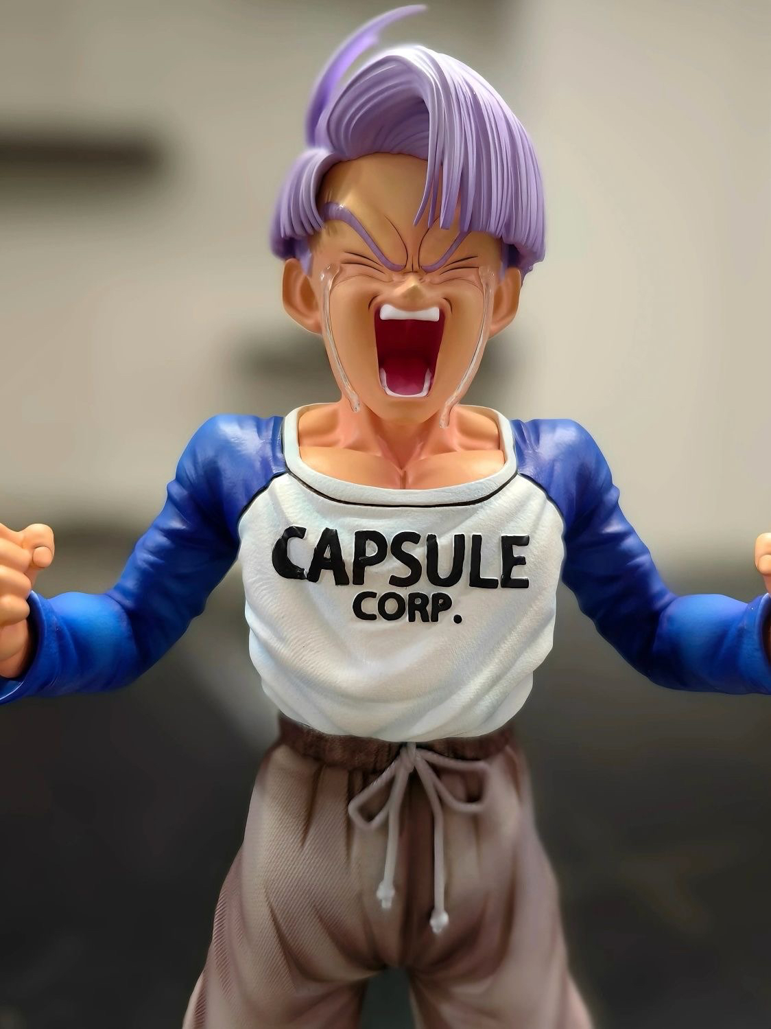 Buu Studio 七龍珠 少年-特蘭克斯 未來對戰篇