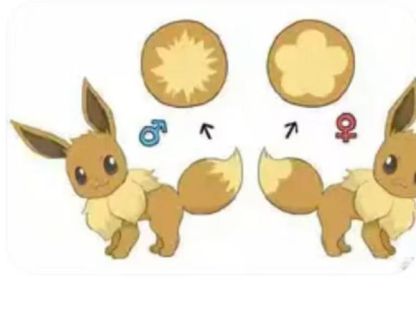 【預購】月影殿 自然系列伊布第五彈-伊布皮卡丘場景