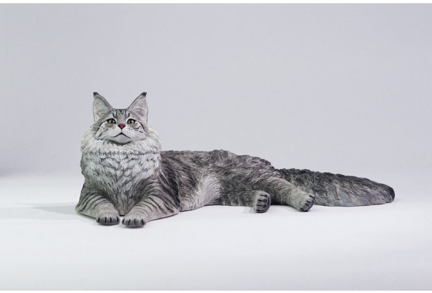 【預購】正版授權 獵跡 1/6 銀虎緬因貓