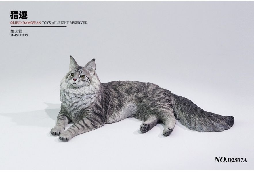 【預購】正版授權 獵跡 1/6 銀虎緬因貓