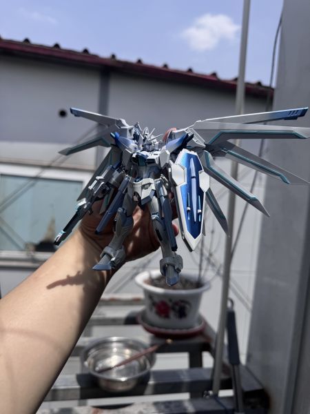 【預購】繁星×NoTop模型工作室 HG飛昇自由高達