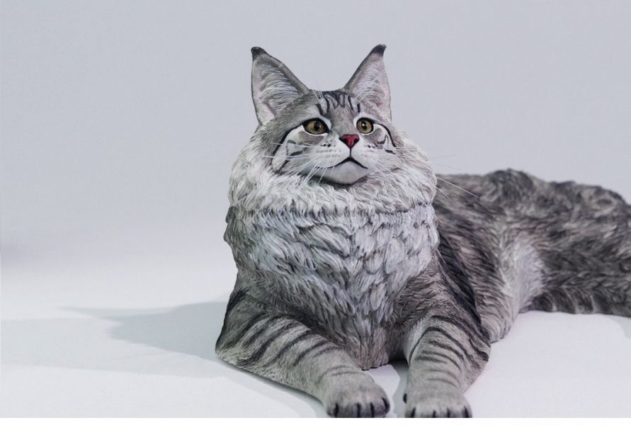 【預購】正版授權 獵跡 1/6 銀虎緬因貓