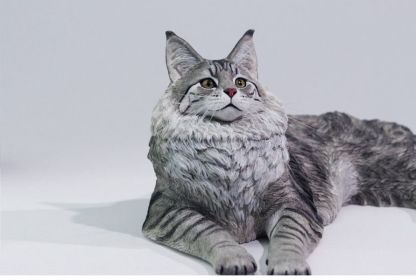 【預購】正版授權 獵跡 1/6 銀虎緬因貓