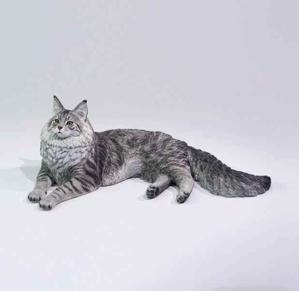 【預購】正版授權 獵跡 1/6 銀虎緬因貓