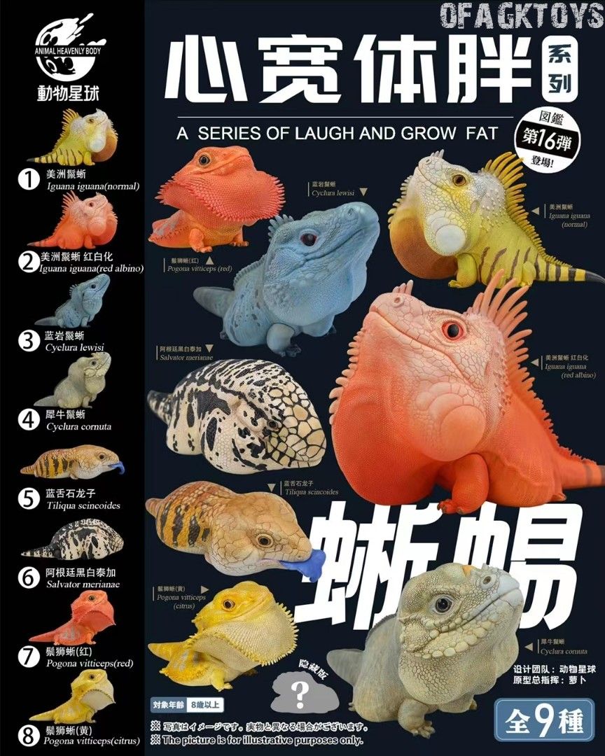 動物星球心寬體胖系列 - 蜥蜴