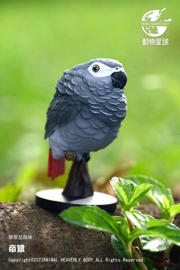 動物星球 心寬體胖系列 鸚鵡
