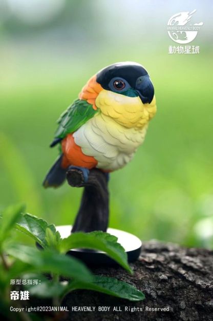 動物星球 心寬體胖系列 鸚鵡