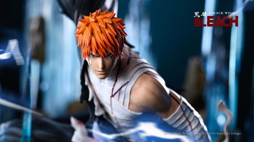 黑羽Black Wing 死神bleach 黑崎一護 救援