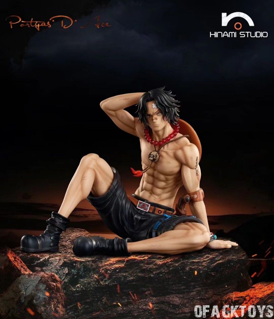 HINAMI 海賊王 負傷艾斯