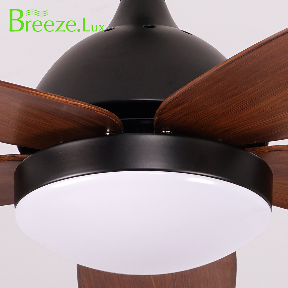 BL-2529 48" 5 Pcs Abs Black Ceiling Fan Lights Modern Ceiling