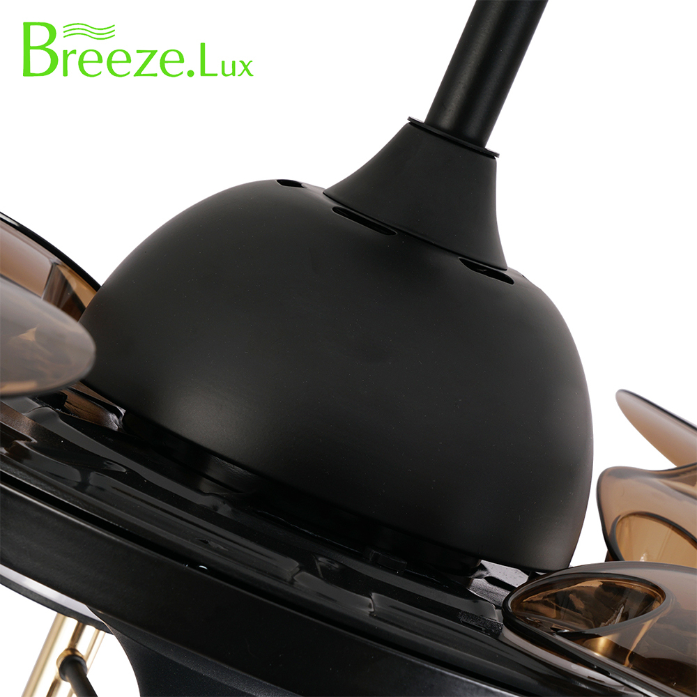 BL-2911 42"/48" 4 Pcs Pc Black+Gold Ceiling Fan With Light And Remote