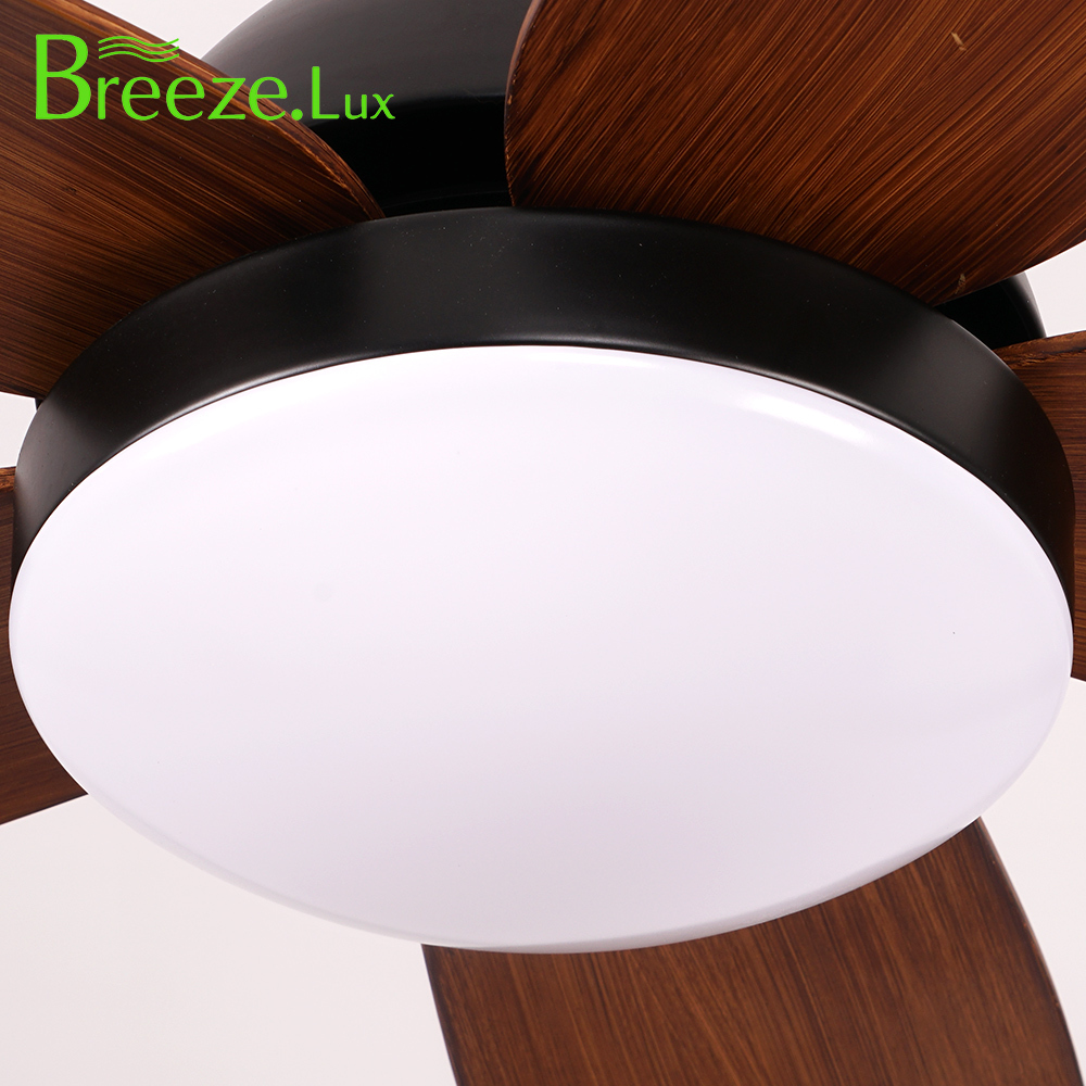 BL-2529 48" 5 Pcs Abs Black Ceiling Fan Lights Modern Ceiling