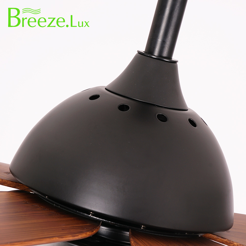 BL-2529 48" 5 Pcs Abs Black Ceiling Fan Lights Modern Ceiling