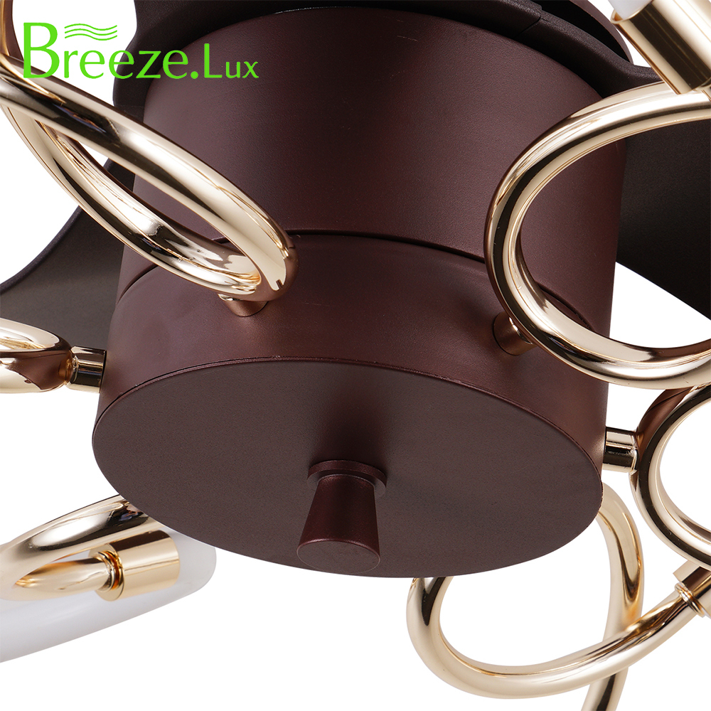 BL-7014 22" 3 Pcs Abs Coffee+Gold Ceiling Light With Fan And Remote