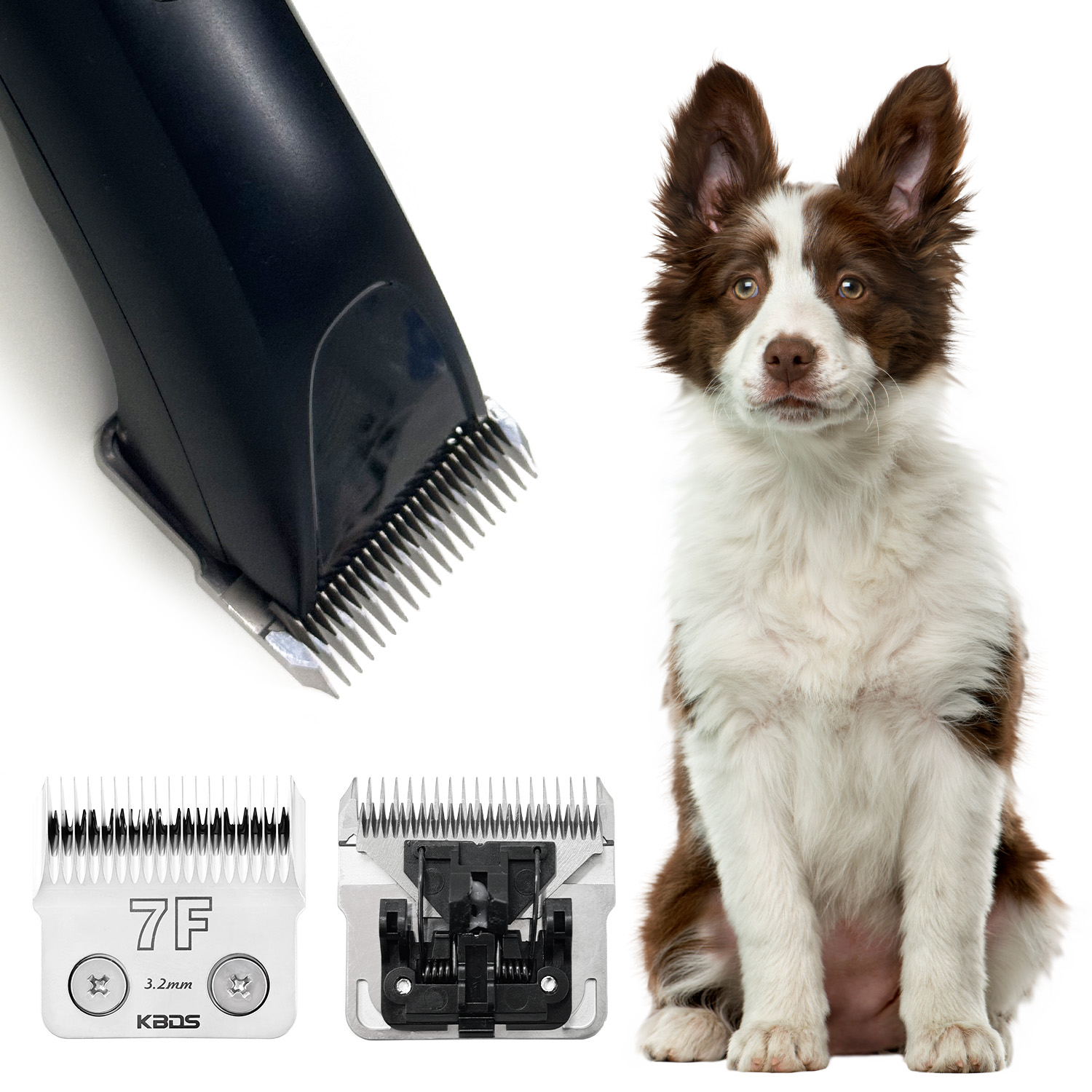 KBDS D Series 10# 1.5mm Dog Grooming Clipper Blade