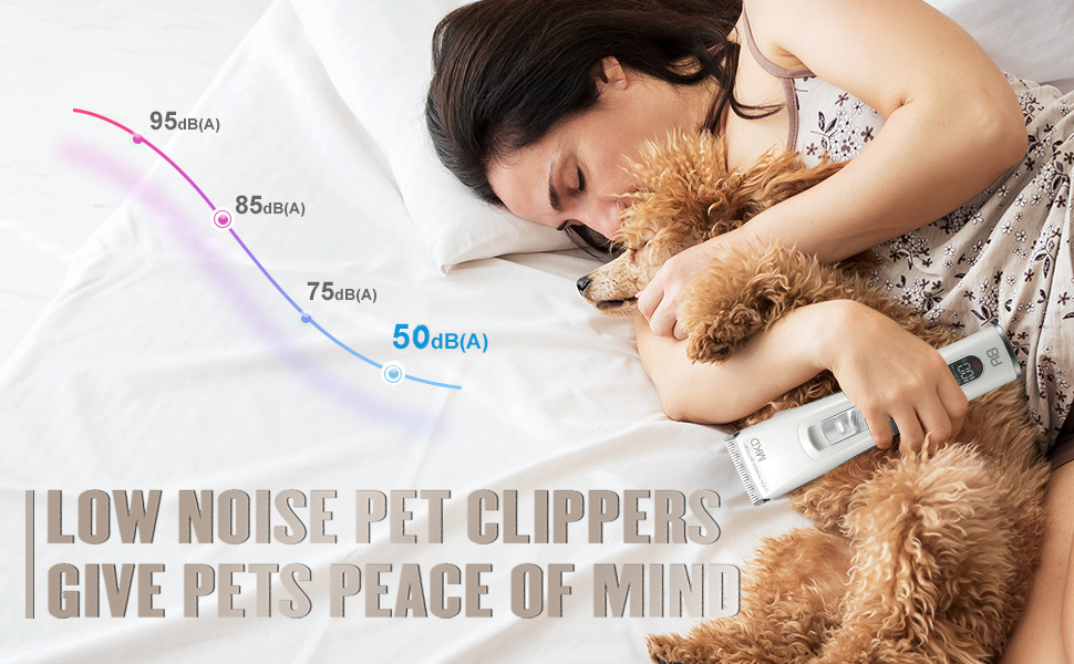 KBDS 4-IN-1Professional Grooming Dog Clipper (A8) 