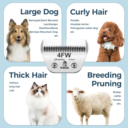 KBDS Ceramic Wide 4FW 9.5mm Blade