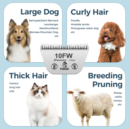 KBDS Ceramic Wide 10FW 1.5mm Blade