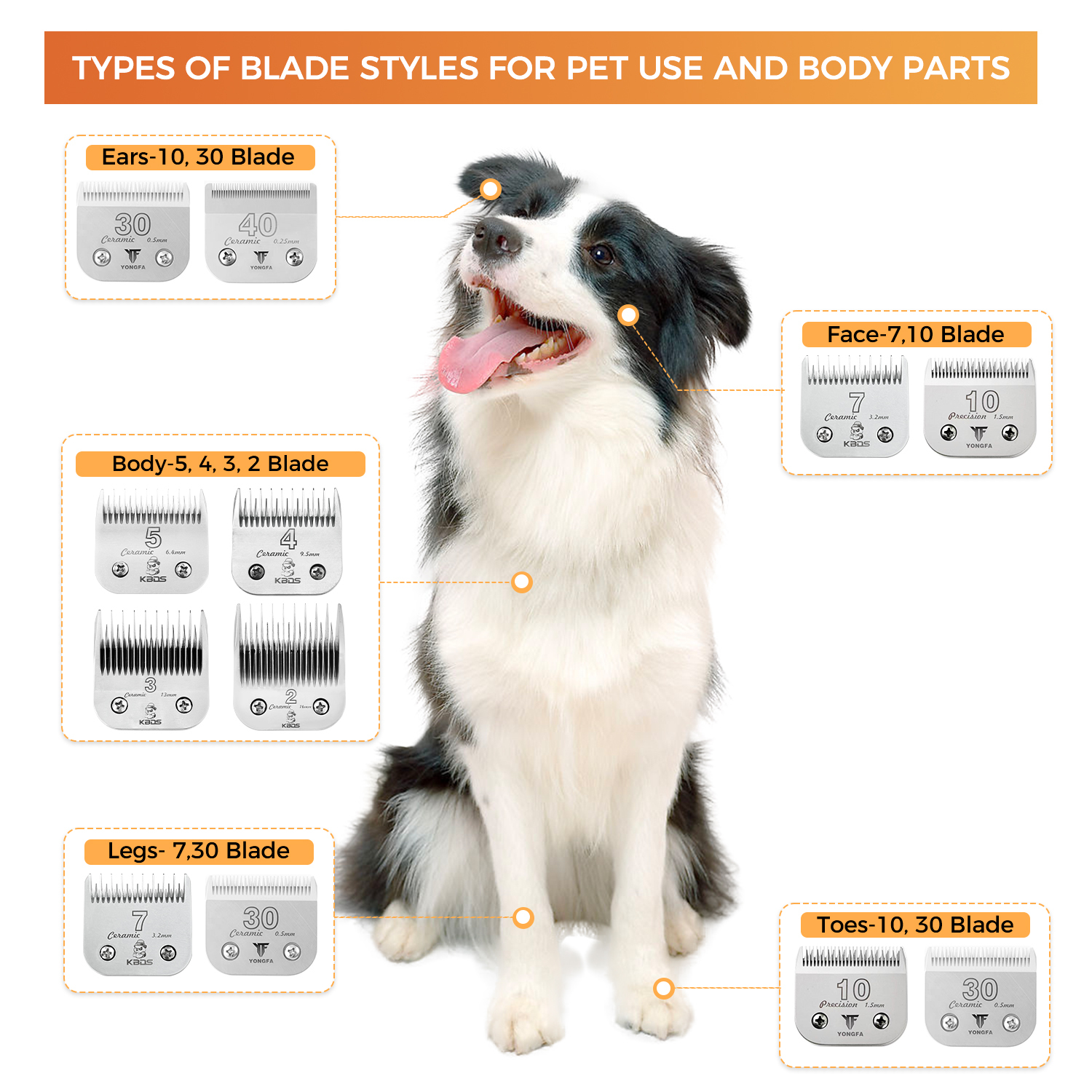 KBDS A Series 5 Skip Tooth Blades for Dog Grooming（1/4" - 6.4mm）