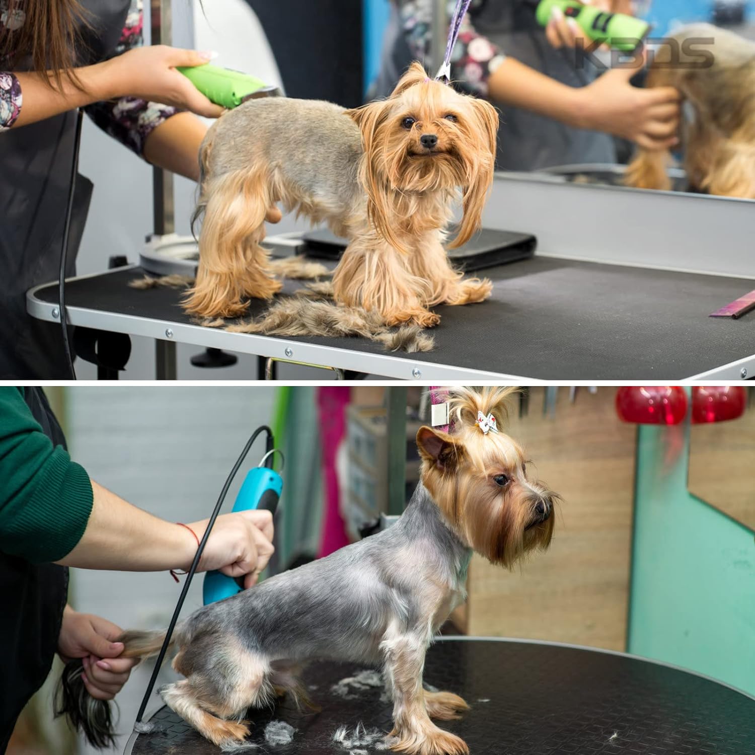 KBDS 10# 1.5mm Dog Grooming Clipper Blade (A5)