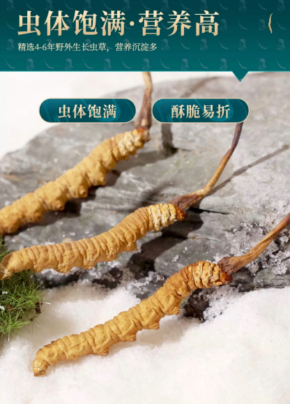 拉曲拉姆极品大断草