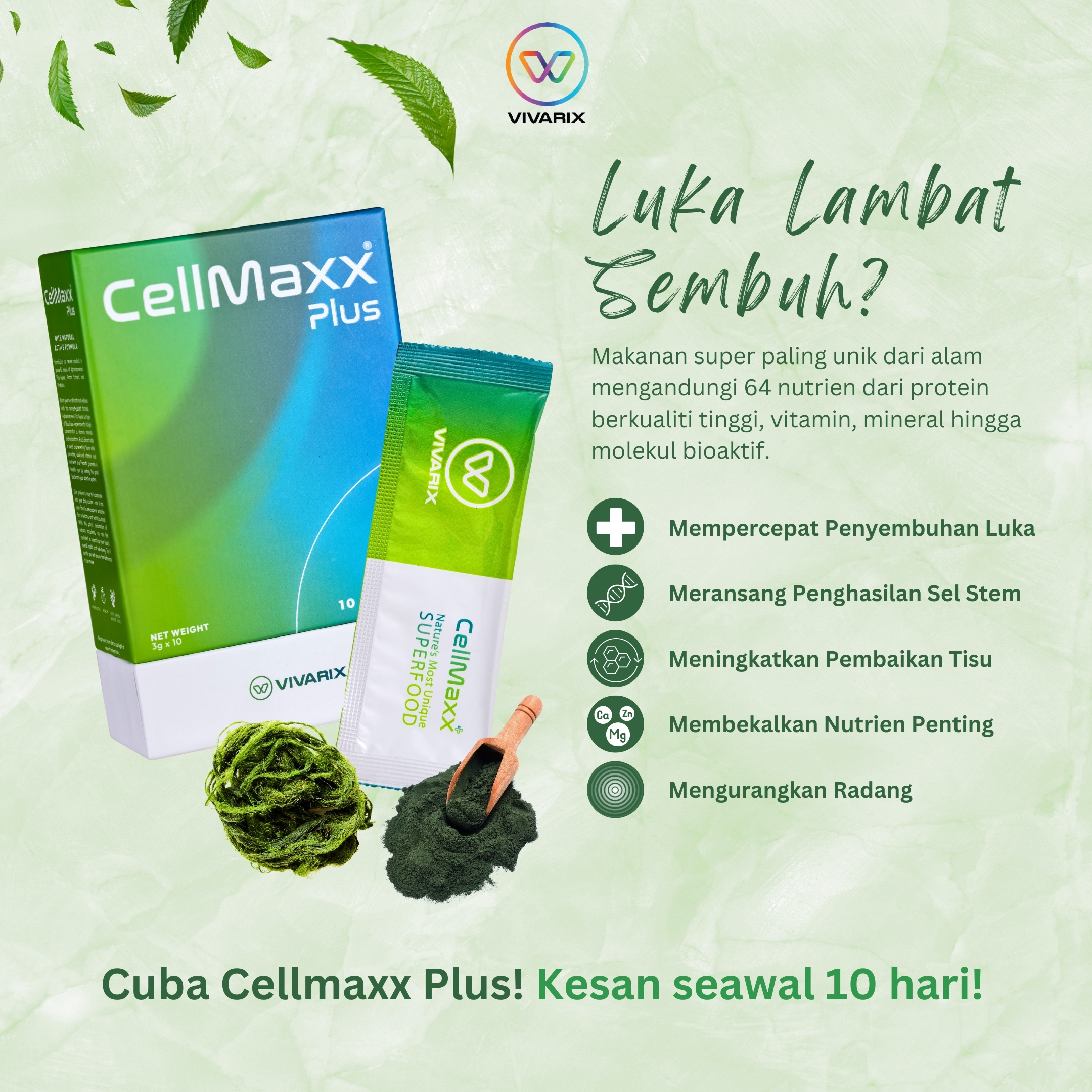 Cellmaxx Plus